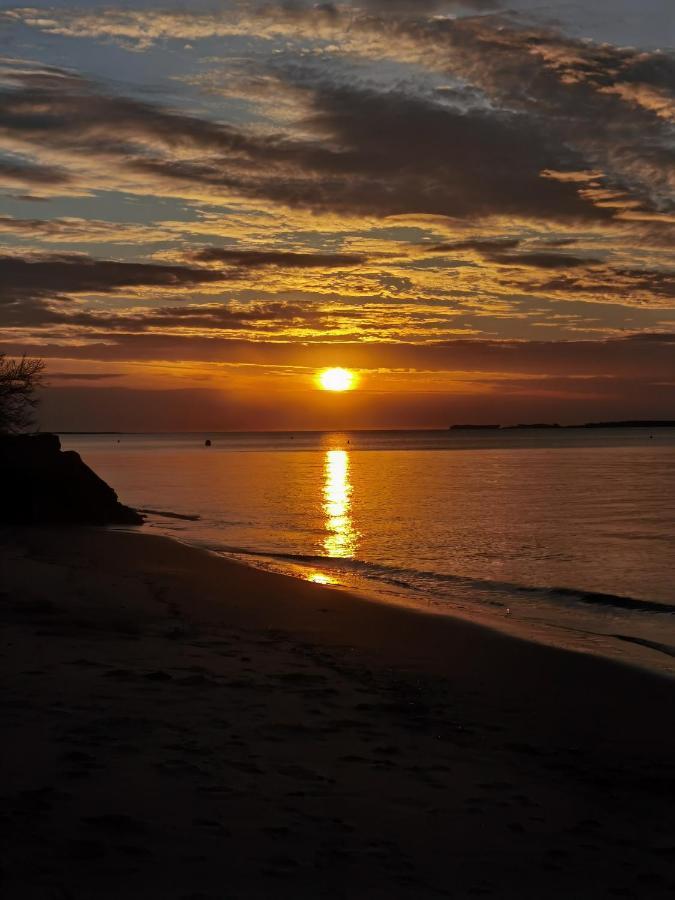 Gîte 2 à 12 personnes La côte d'Argent plage à pied La Tremblade Extérieur photo